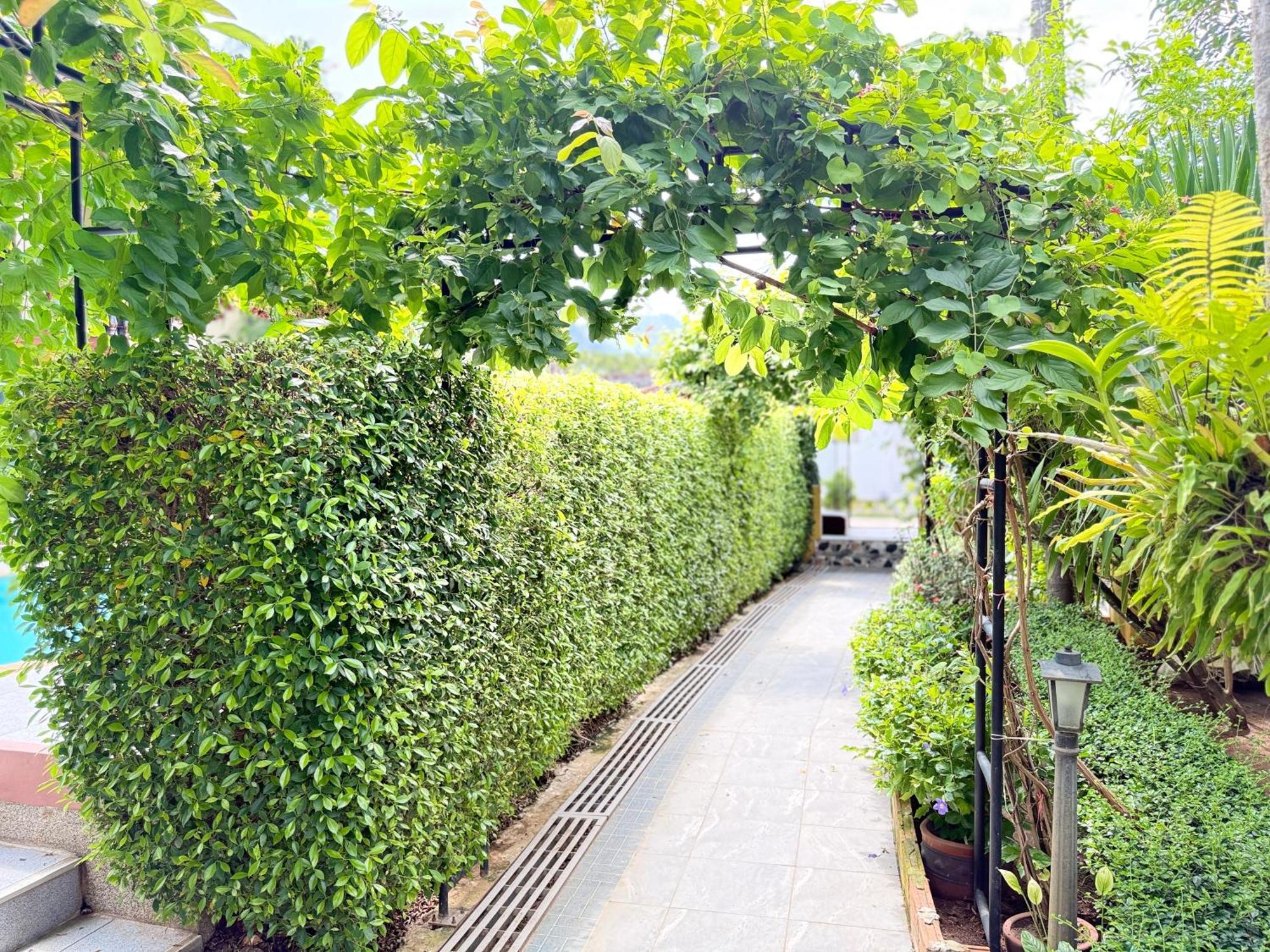 Family Bungalow Kamala Екстер'єр фото